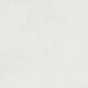 Extra DAR34722 30 x 30 плитка керамограніт білий ABS RAKO