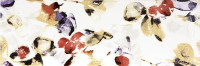 Majolika WITVE008 20 x 60 плитка декор багатобарвний RAKO