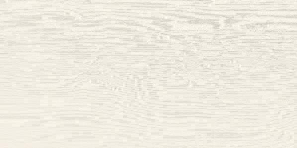 Saloon WAKVK161 30 x 60 плитка плитка для стін світло-бежевий RAKO