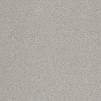Taurus Granit TAA25076 20 x 20 плитка керамограніт сірий ABS RAKO
