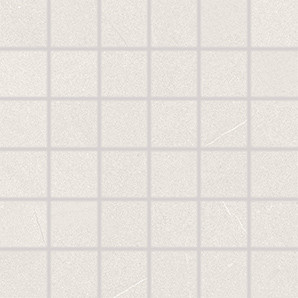 Topo WDM05622 30 x 30 плитка мозаїка світло-сірий RAKO
