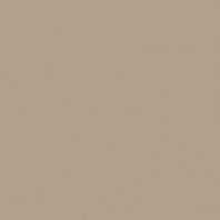 Color Two GAA1K311 20 x 20 плитка керамограніт темно-бежевий RAKO