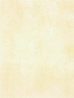 Patina WATKB230 25 x 33 плитка плитка для стін світло-бежевий RAKO