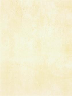 Patina WATKB230 25 x 33 плитка плитка для стін світло-бежевий RAKO