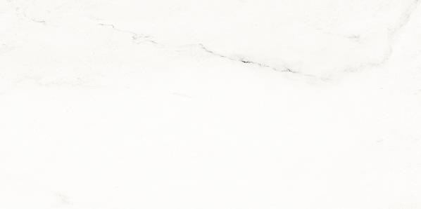 Vein WAKVK133 30 x 60 плитка плитка для стін білий RAKO