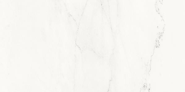 Vein WAKVK133 30 x 60 плитка плитка для стін білий RAKO