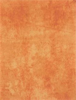 Patina WATKB231 25 x 33 плитка плитка для стін коричневo-червоний RAKO