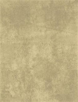 Patina WATKB232 25 x 33 плитка плитка для стін серо-бежевий RAKO