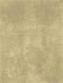 Patina WATKB232 25 x 33 плитка плитка для стін серо-бежевий RAKO