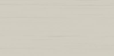 Easy WATMB061 20 x 40 плитка плитка для стін сірий RAKO