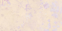 Levante WADV4592 30 x 60 плитка плитка для стін багатобарвний RAKO