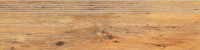 Pino DCPVD897 30 x 120 сходинка бежево-коричневий RAKO
