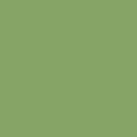 Color Two GAA1K466 20 x 20 плитка керамограніт зелений RAKO
