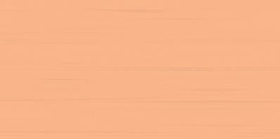 Easy WATMB065 20 x 40 плитка плитка для стін помаранчевий RAKO