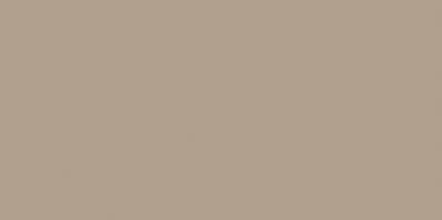 Color One WAAMB311 20 x 40 плитка плитка для стін темно-бежевий RAKO