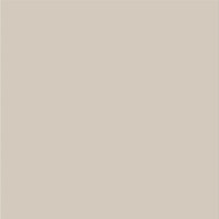 Taurus Color TAA25010 20 x 20 плитка керамограніт слонова кістка ABS RAKO
