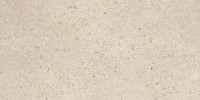 Piazzetta DAKSE787 30 x 60 плитка керамограніт бежевий ABS RAKO