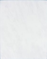 Universal WATG6022 20 x 25 плитка плитка для стін сірий RAKO