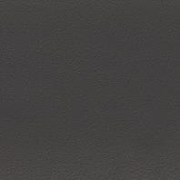 Color Two GAF1K248 20 x 20 плитка керамограніт сірий антрацит RAKO