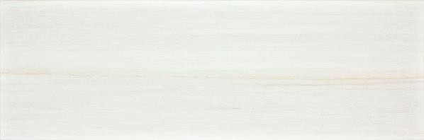 Charme WADVE036 20 x 60 плитка плитка для стін світло-сірий RAKO