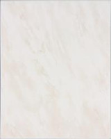 Universal WATG6025 20 x 25 плитка плитка для стін бежевий RAKO