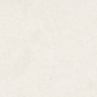 Limestone DAL63800 60 x 60 плитка керамограніт слонова кістка RAKO