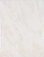 Universal WATKB099 25 x 33 плитка плитка для стін бежевий RAKO