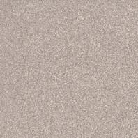 Taurus Granit TAA25068 20 x 20 плитка керамограніт сіро-коричнева ABS RAKO