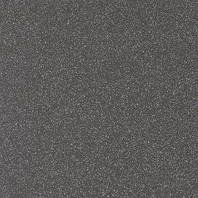 Taurus Granit TAA25069 20 x 20 плитка керамограніт чорний ABS RAKO