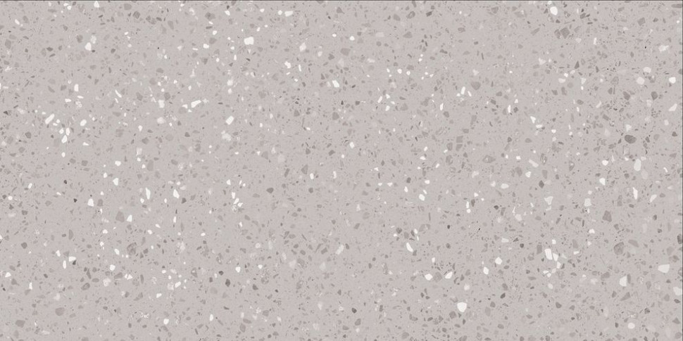 Porfido DASV1811 60 x 120 плитка керамограніт сірий ABS RAKO