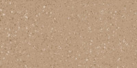 Porfido DASV1814 60 x 120 плитка керамограніт охра ABS RAKO