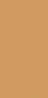 Color Two GAAD8150 10 x 20 плитка керамограніт світло-помаранчевий RAKO