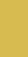 Color Two GAAD8142 10 x 20 плитка керамограніт темно-жовтий RAKO