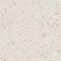 Porfido DAS26813 20 x 20 плитка керамограніт бежевий ABS RAKO