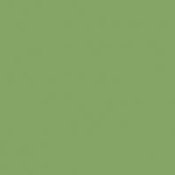 Color One WAA1N456 20 x 20 плитка плитка для стін зелений RAKO