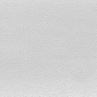 Color Two GAF1K612 20 x 20 плитка керамограніт світло-сірий RAKO