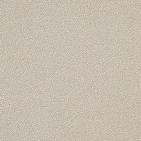 Taurus Granit TRM25061 20 x 20 плитка керамограніт темно-бежевий SRM RAKO