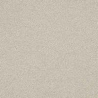 Taurus Granit TRM34061 30 x 30 плитка керамограніт темно-бежевий SRM RAKO