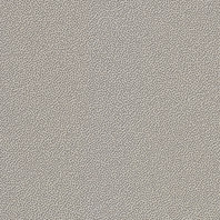 Taurus Granit TRM25076 20 x 20 плитка керамограніт сірий SRM RAKO