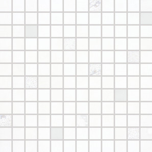 Up WDM0U000 30 x 30 плитка мозаїка білий RAKO