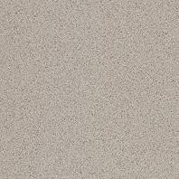 Taurus Industrial TAA28076 20 x 20 x 1,3 плитка керамограніт сірий RAKO