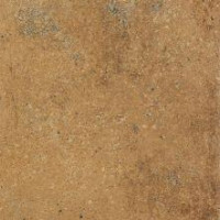 Siena DAR2Y664 22,5 x 22,5 плитка керамограніт коричневий RAKO