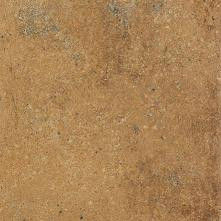 Siena DAR2Y664 22,5 x 22,5 плитка керамограніт коричневий RAKO