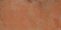 Siena DARPT665 22,5 x 45 плитка керамограніт красно-коричневий RAKO