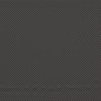 Color Two GRS1K248 20 x 20 плитка керамограніт сірий антрацит RAKO