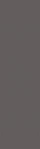 Taurus Color TSAJB007 30 x 8 плитка плінтус темно-сірий RAKO