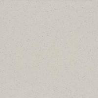 Taurus Granit TAA61078 60 x 60 плитка керамограніт світло-сірий RAKO