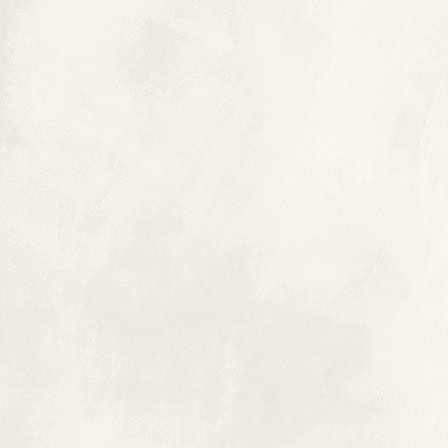 Blend DAA44805 45 x 45 плитка керамограніт білий RAKO