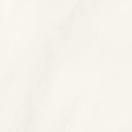 Blend DAA44805 45 x 45 плитка керамограніт білий RAKO