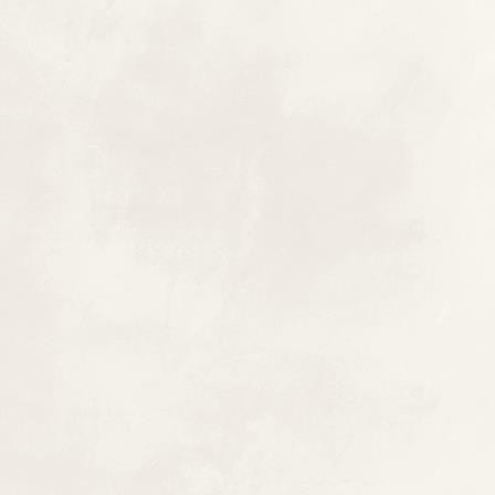 Blend DAA44805 45 x 45 плитка керамограніт білий RAKO
